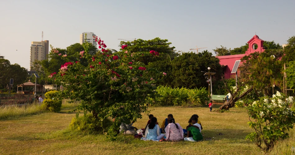 Hanging Gardens: Green Terraces Overlooking the Arabian Sea